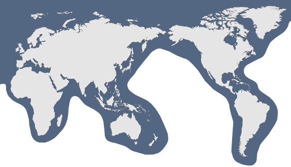 Manufacturers, Exporters, Importers and Distributors
